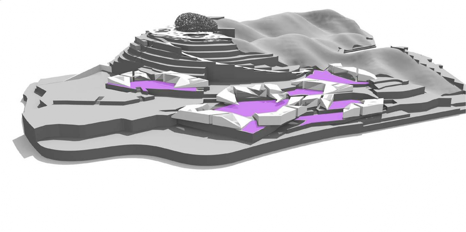 風景園林創新發展論壇劉子明博士演講實錄