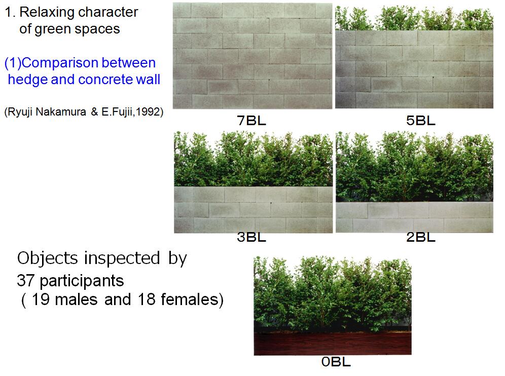 風(fēng)景園林創(chuàng)新發(fā)展論壇藤本英二郎教授演講實(shí)錄