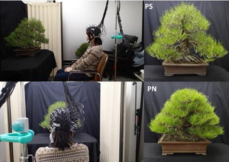風景園林創新發展論壇藤本英二郎教授演講實錄