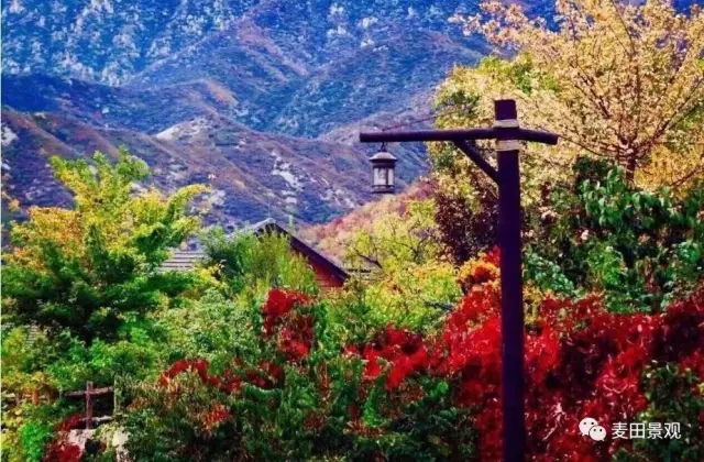 美式原鄉 極致風景