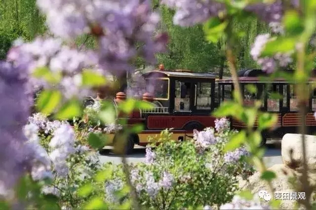美式原鄉 極致風景