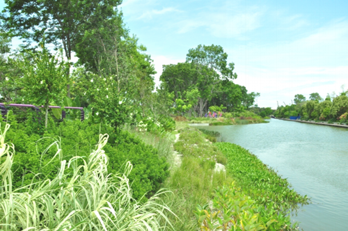 綠色城市與新型城鎮(zhèn)化國際論壇蔡福祥演講實錄