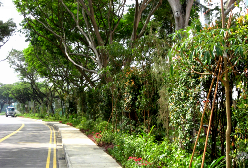 綠色城市與新型城鎮(zhèn)化國際論壇蔡福祥演講實錄