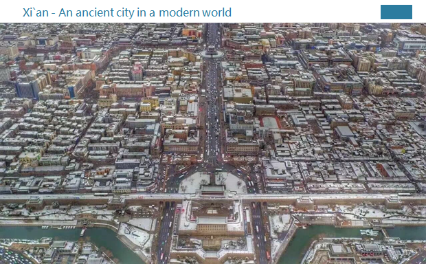 亞洲園林教育論壇劉愷希博士演講實錄