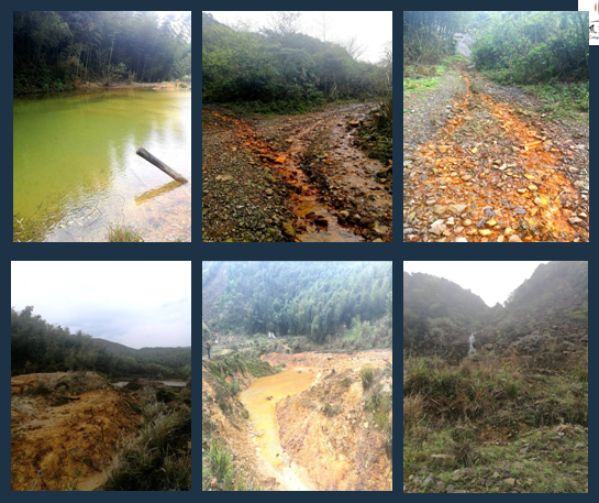 亞洲園林教育論壇寥秋林教授演講實錄