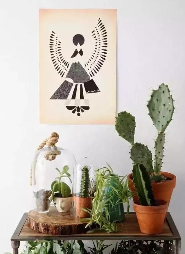 適合家庭栽培的吸毒植物,你知道哪些?