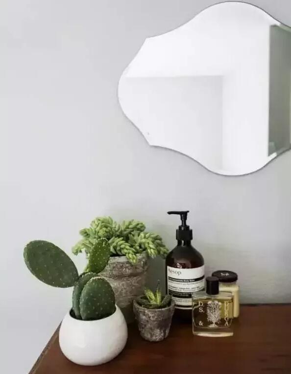 適合家庭栽培的吸毒植物，你知道哪些？