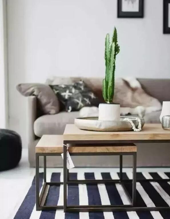 適合家庭栽培的吸毒植物,你知道哪些?