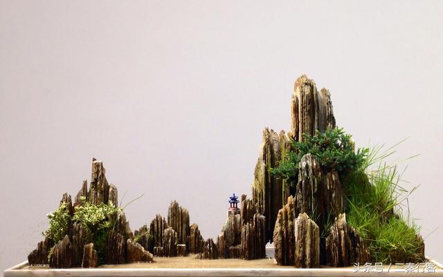 陜西第二大城市寶雞市的盆景園