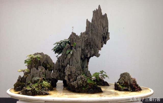 陜西第二大城市寶雞市的盆景園