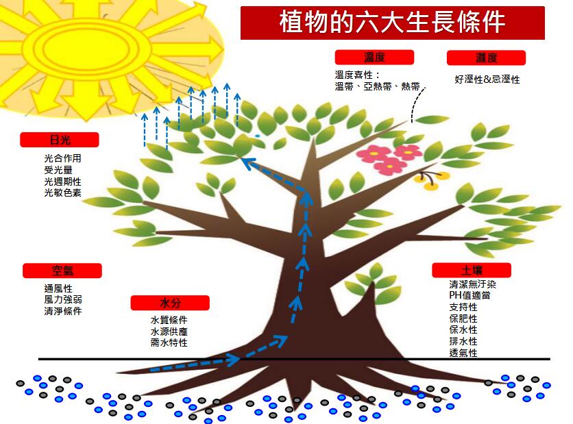 地產園林國際論壇李碧峰演講實錄