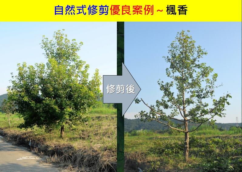 地產園林國際論壇李碧峰演講實錄