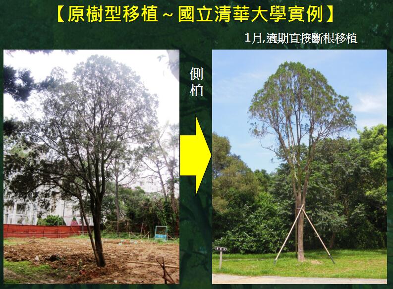 地產園林國際論壇李碧峰演講實錄