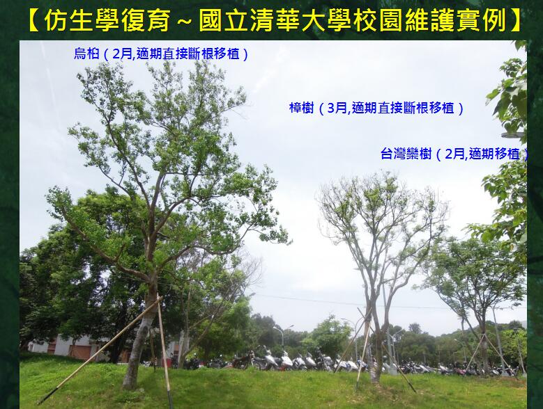 地產園林國際論壇李碧峰演講實錄