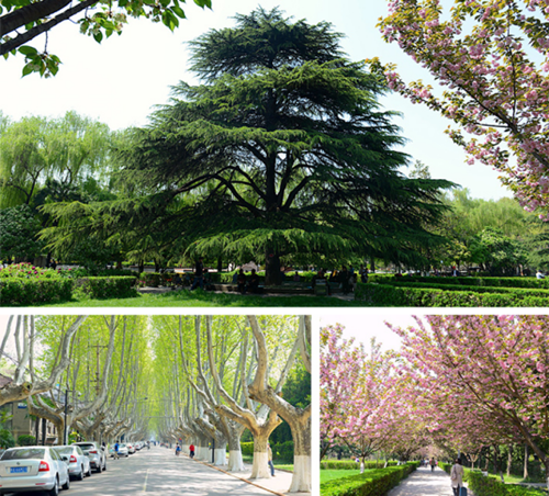 BJF(寶佳豐)國際設計與西安高校校企聯動輪番推進