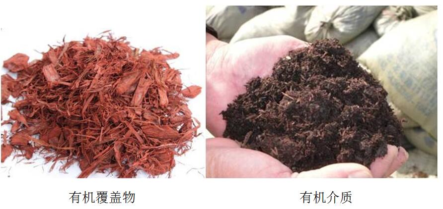 風(fēng)景園林創(chuàng)新發(fā)展論壇史軍鵬先生演講實(shí)錄