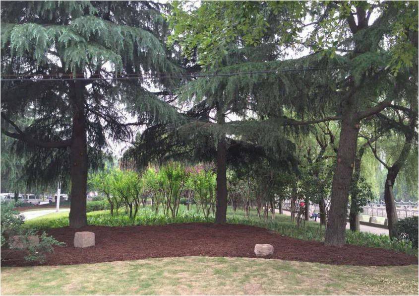 風景園林創新發展論壇史軍鵬先生演講實錄