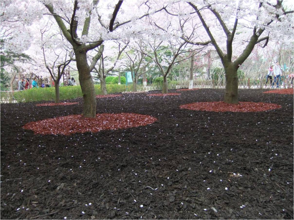 風景園林創新發展論壇史軍鵬先生演講實錄