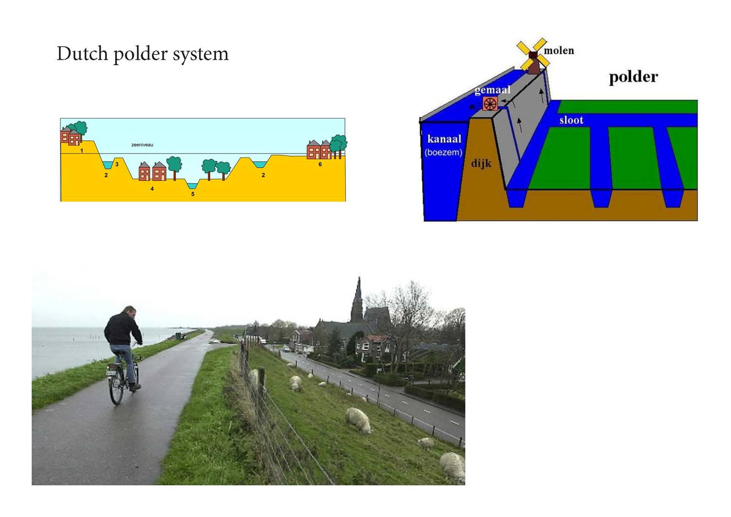 風景園林創新發展論壇竇弈女士演講實錄