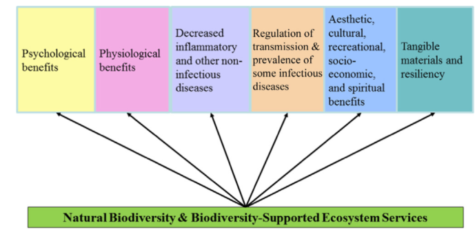 風景園林創新發展論壇張俊彥教授演講實錄