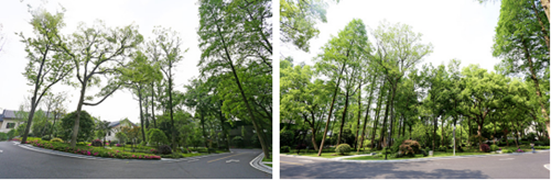 深入企業(yè)共話園林發(fā)展——風(fēng)景園林部落一行參觀考察西湖山莊項目