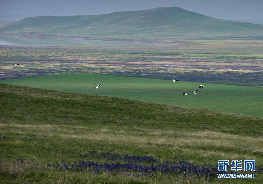 克里米亞奧普克斯基自然保護區自然風光