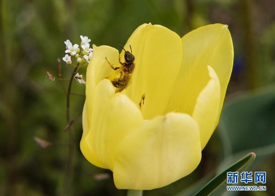 克里米亞奧普克斯基自然保護區自然風光