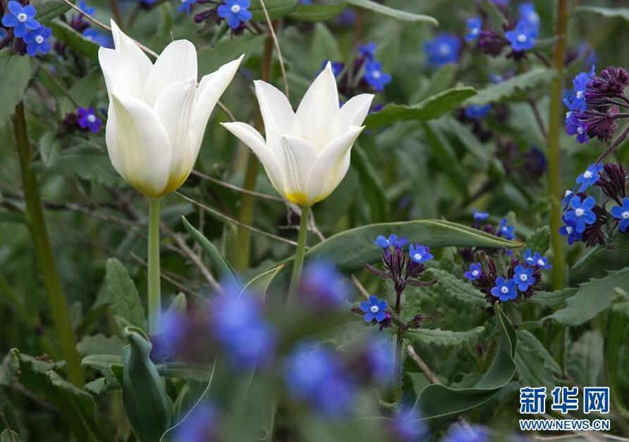 克里米亞奧普克斯基自然保護區自然風光