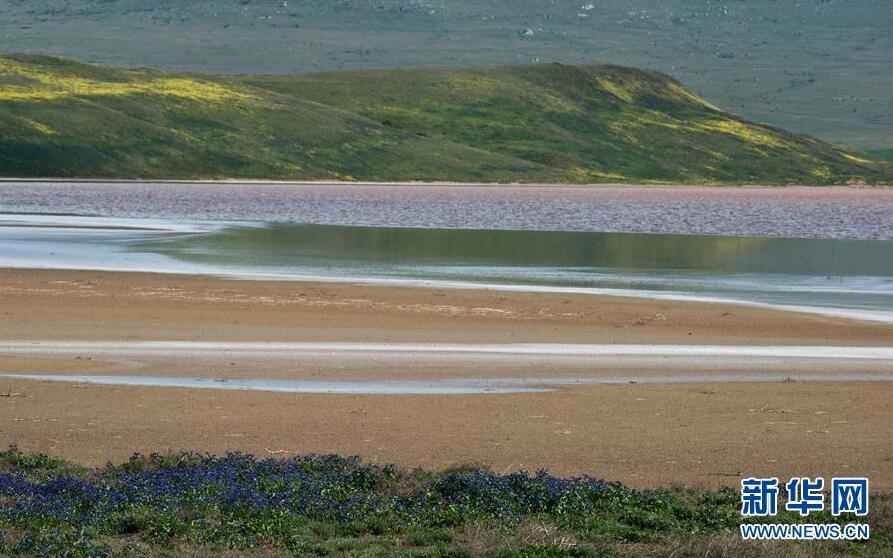 克里米亞奧普克斯基自然保護區自然風光