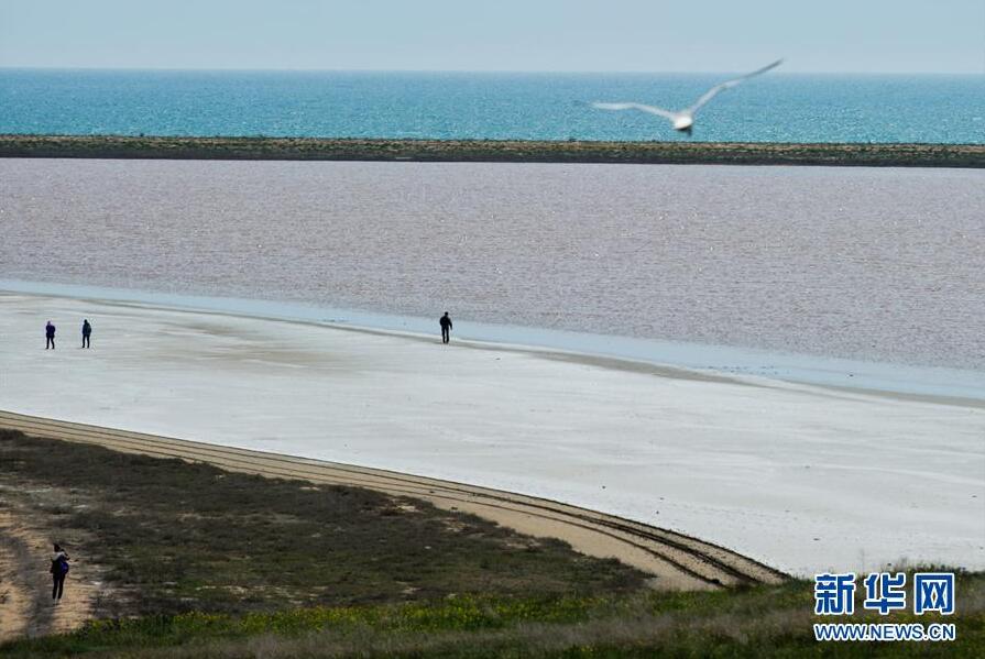 克里米亞奧普克斯基自然保護區自然風光