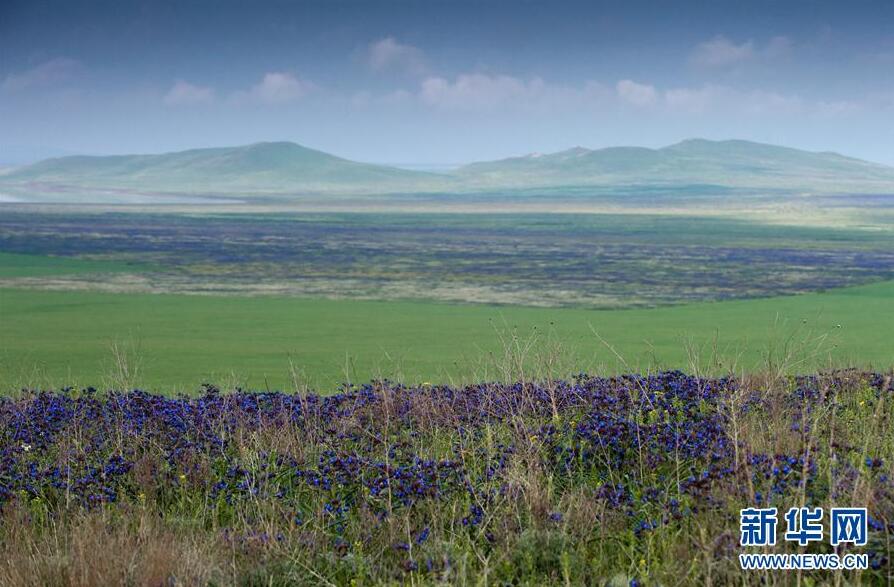 克里米亞奧普克斯基自然保護區自然風光