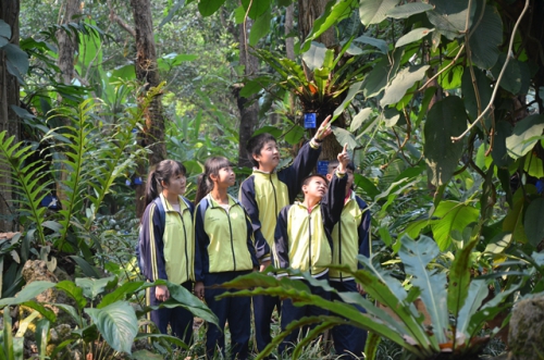 版納植物園獲云南省優(yōu)秀科普教育基地