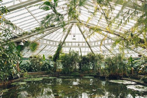 比利時(shí)國家植物園掠影