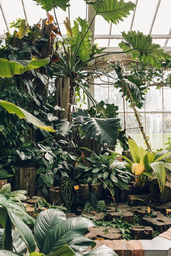 比利時(shí)國家植物園掠影