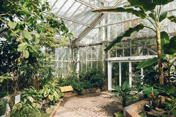 比利時(shí)國家植物園掠影