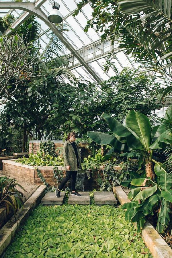 比利時(shí)國家植物園掠影