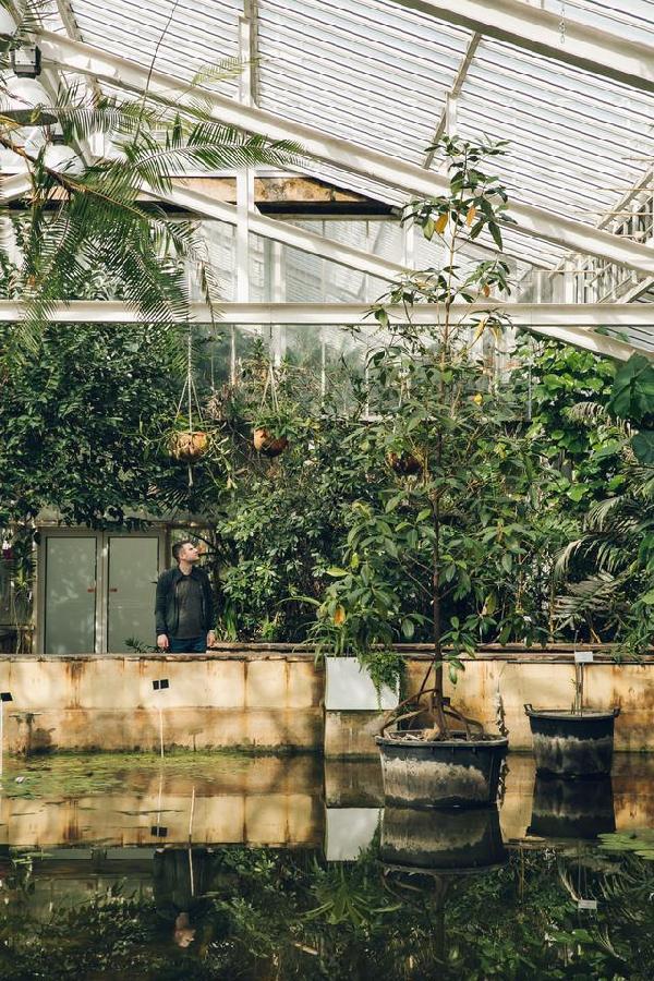 比利時國家植物園掠影