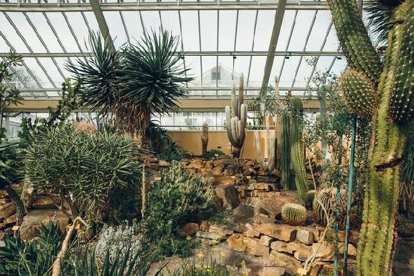 比利時國家植物園掠影