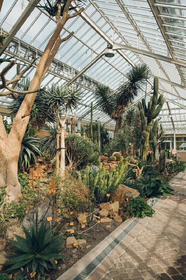 比利時國家植物園掠影