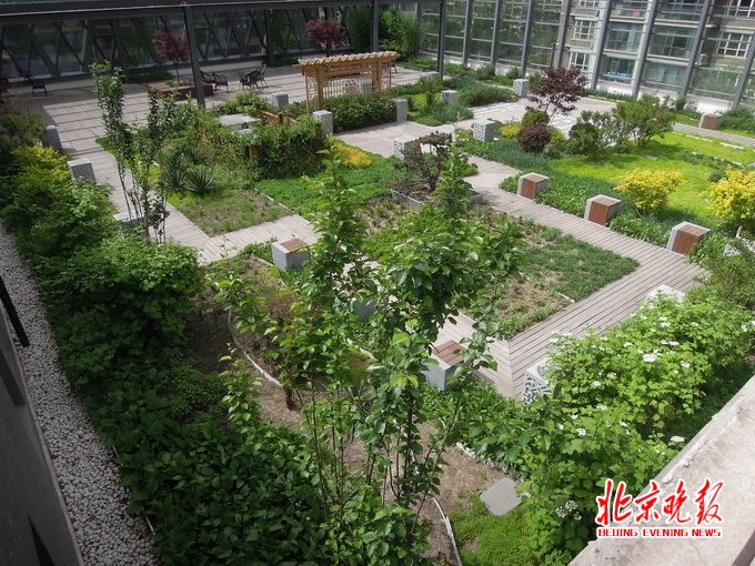 屋頂花園設計案例：天通苑一屋頂花園