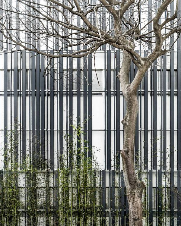 現(xiàn)代建筑與古典園林的結(jié)合