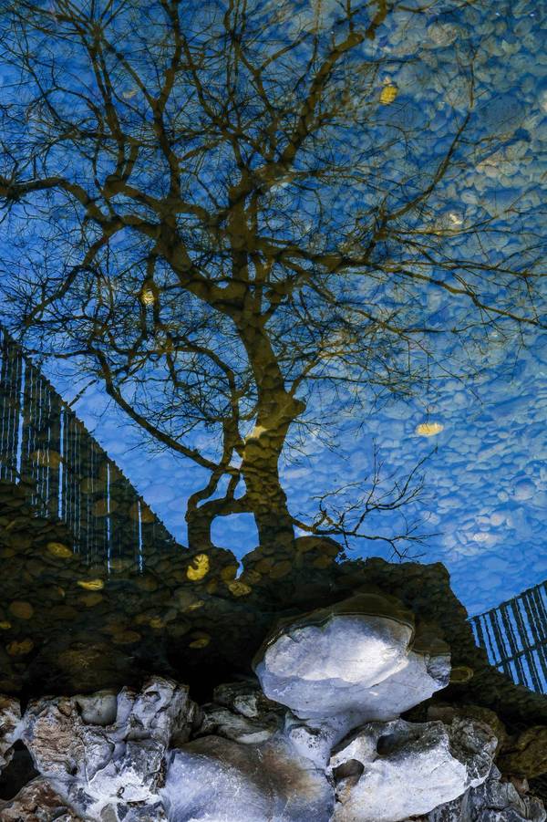 現(xiàn)代建筑與古典園林的結(jié)合