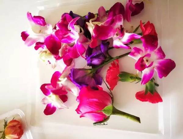 古老的草木拓印，留住植物最美的一刻