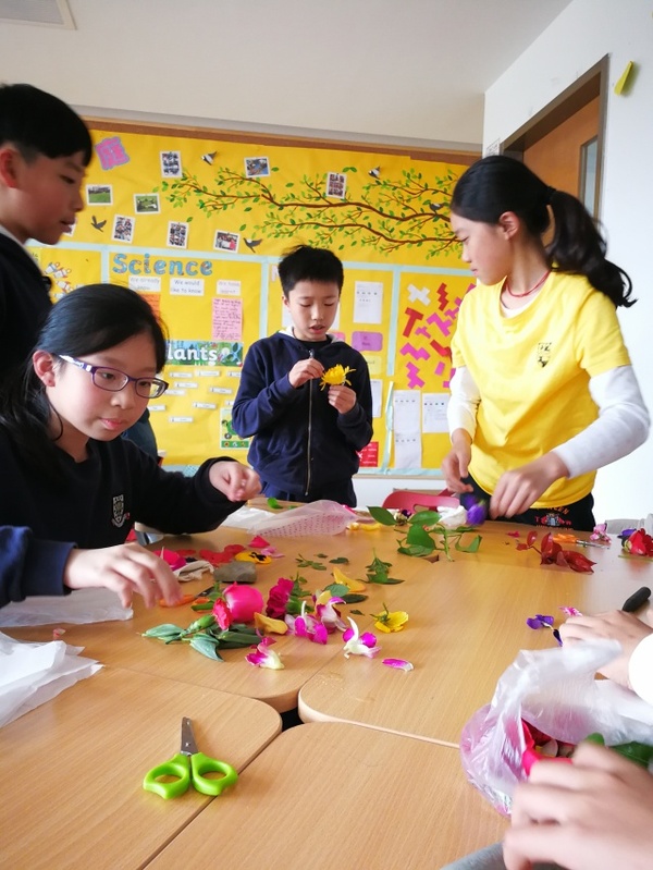 古老的草木拓印，留住植物最美的一刻