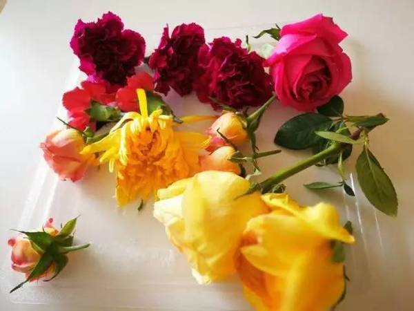 古老的草木拓印，留住植物最美的一刻