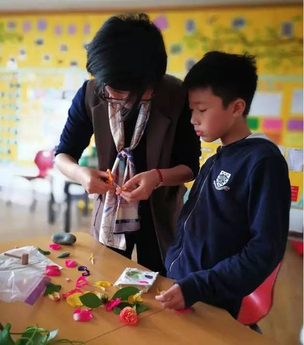 古老的草木拓印，留住植物最美的一刻