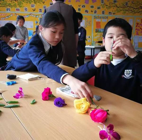古老的草木拓印，留住植物最美的一刻