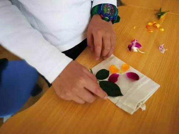 古老的草木拓印,留住植物最美的一刻