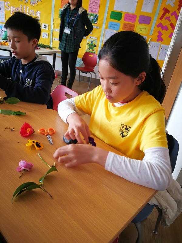 古老的草木拓印,留住植物最美的一刻