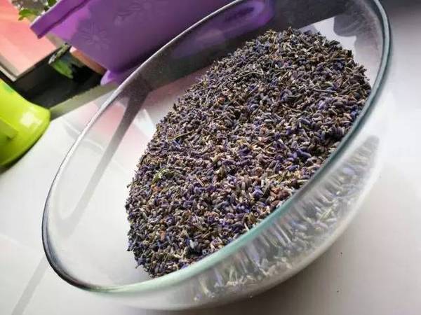 古老的草木拓印,留住植物最美的一刻